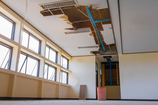 Best Basement water damage restoration  in Lake Mawk, OH