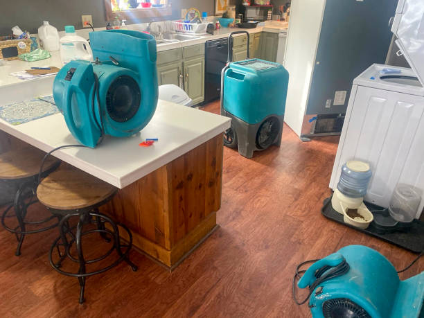Best Professional water damage repair  in Lake Mawk, OH