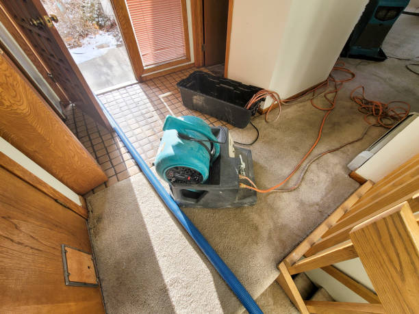 Best Fire Damage Restoration  in Lake Mawk, OH