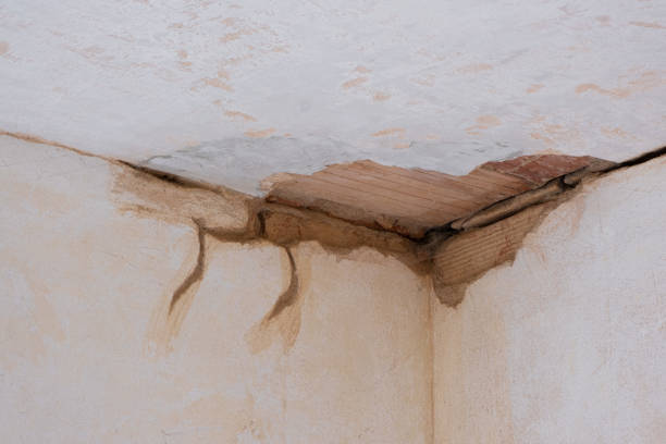 Best Fire Damage Restoration  in Lake Mawk, OH