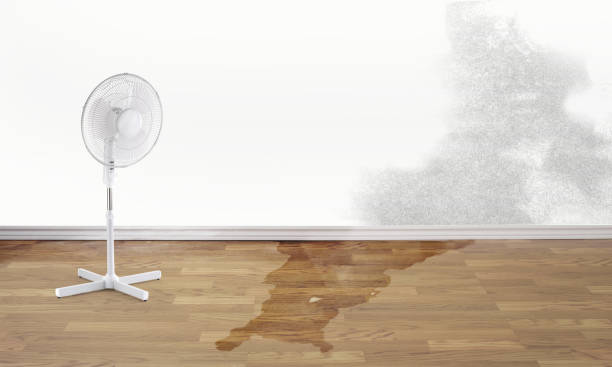 Water damage restoration insurance claims in Lake Mohawk, OH