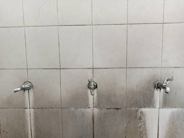 Best Water damage restoration near me  in Lake Mawk, OH