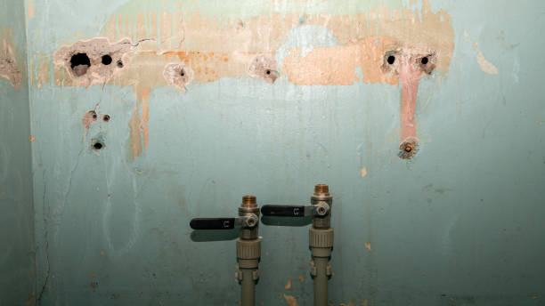 Best Emergency water damage restoration  in Lake Mawk, OH