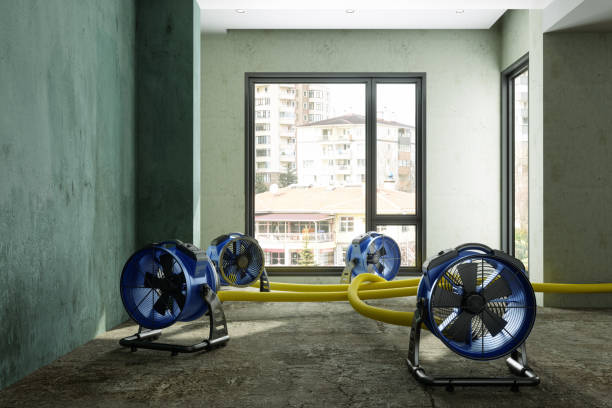 Best Water damage contractors near me  in Lake Mawk, OH