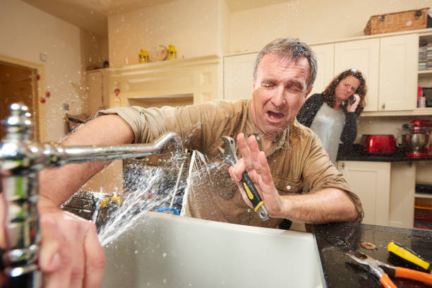 Best Mold removal after water damage  in Lake Mawk, OH